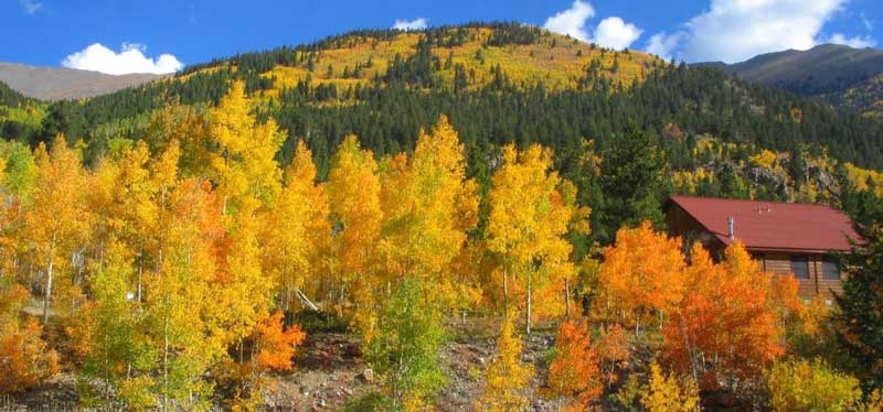 colorado-fall-foliage3 B