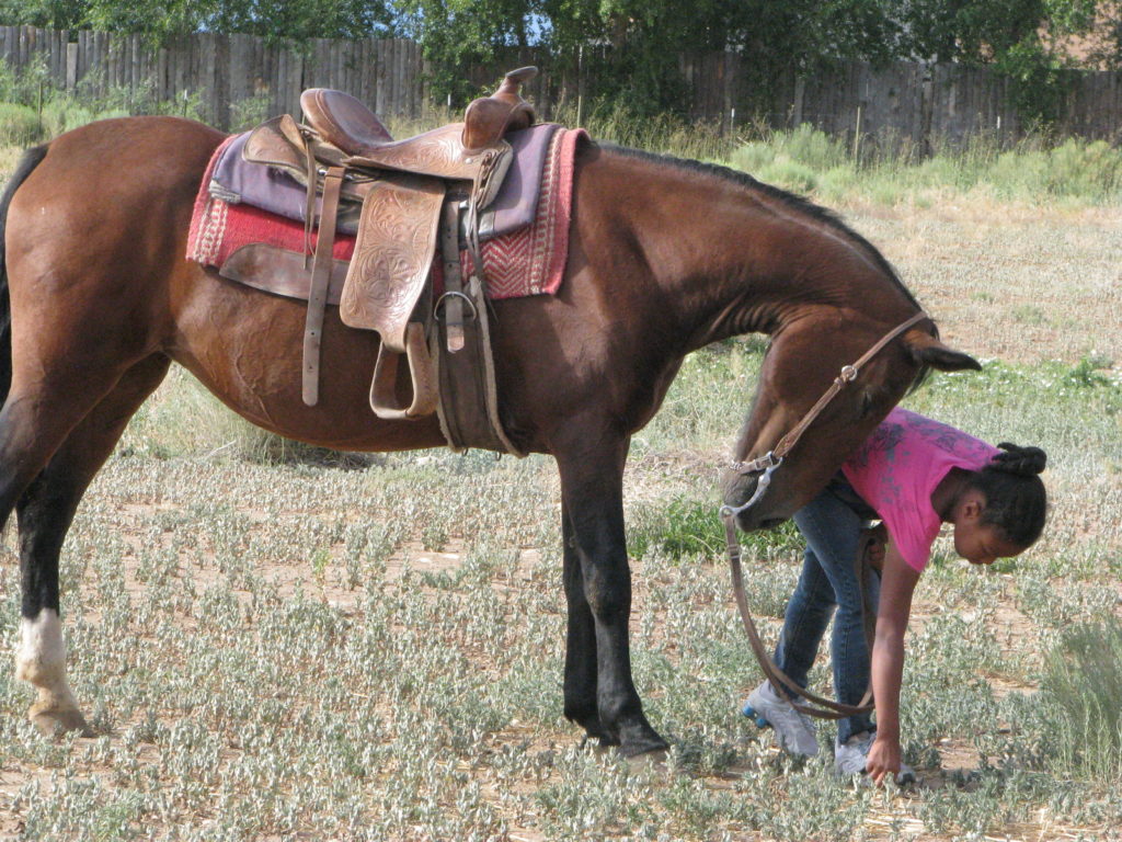 horse with girl Girl holding reigns of horse TCF homepage