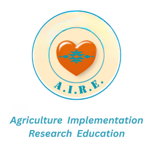 AIRE Logo